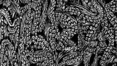 Black white octopuses thorax