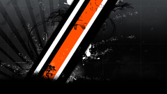 Black white orange and