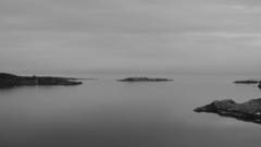 Black white photography nature