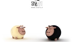 Black white sheep digital