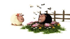 Black white sheep digital