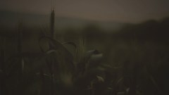 Black white SWAT was ) With need jpeg