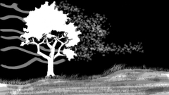 Blacktree does anyone have