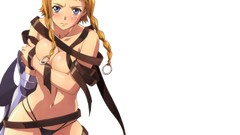 Blade Anime anime girls Queens blade Leina