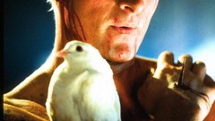 Blade runner Movie