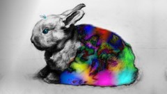 Blanket colors Bunnies