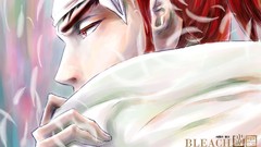 Bleach Abarai Renji