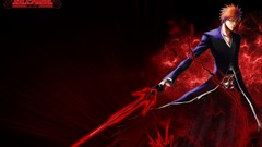 Bleach Anime