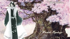 Bleach cherry blossoms Kuchiki byakuya flowered trees