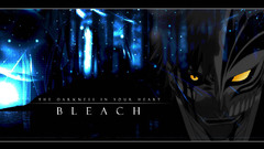 Bleach darkness heart Anime