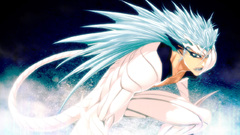 Bleach Espada grimmjow jaegerjaquez