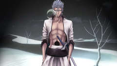 Bleach Espada grimmjow jaegerjaquez