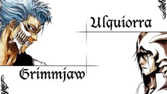 Bleach Espada grimmjow jaegerjaquez