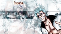 Bleach Espada grimmjow jaegerjaquez
