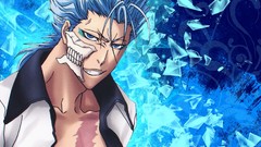 Bleach Espada grimmjow jaegerjaquez