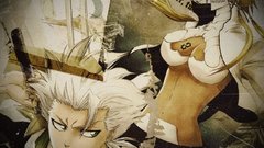 Bleach Espada Hitsugaya Toshiro