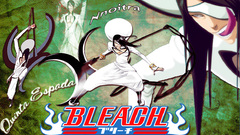 Bleach Espada nnoitra gilga