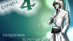 Bleach Espada Ulquiorra Cifer