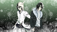 Bleach Espada Ulquiorra Cifer