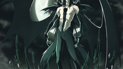 Bleach Espada Ulquiorra Cifer