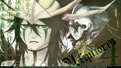 Bleach Espada ulquiorra cifer