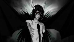 Bleach Espada Ulquiorra Cifer