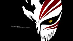 Bleach hate Hollow Ichigo