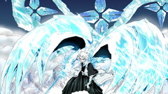 Bleach Hitsugaya Toshiro