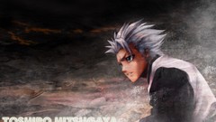 Bleach Hitsugaya Toshiro