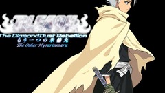 Bleach Hitsugaya Toshiro