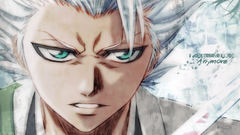 Bleach Hitsugaya Toshiro