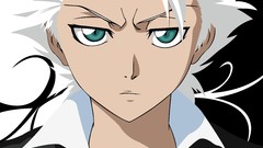 Bleach Hitsugaya Toshiro