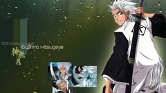 Bleach Hitsugaya Toshiro