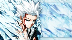 Bleach Hitsugaya Toshiro Anime