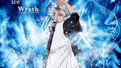 Bleach Hitsugaya Toshiro Anime