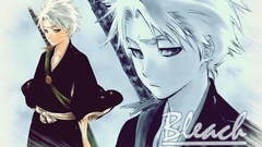 Bleach Hitsugaya Toshiro Anime