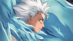 Bleach Hitsugaya Toshiro Anime