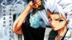Bleach hitsugaya Toshiro Anime