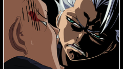 Bleach Hitsugaya Toshiro Ikkaku