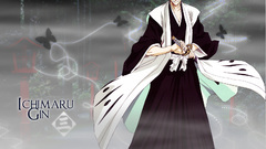 Bleach ichimaru gin