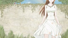 Bleach inoue orihime