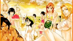 Bleach inoue orihime Soifon
