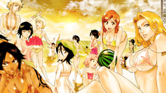 Bleach inoue orihime Soifon
