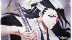 Bleach Kuchiki byakuya