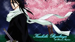 Bleach Kuchiki byakuya