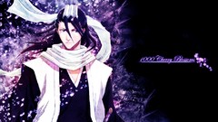 Bleach Kuchiki byakuya
