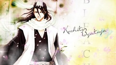 Bleach Kuchiki byakuya