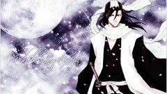 Bleach Kuchiki byakuya
