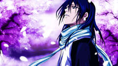 Bleach Kuchiki Byakuya Anime