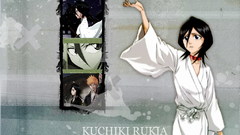 Bleach Kuchiki rukia Anime